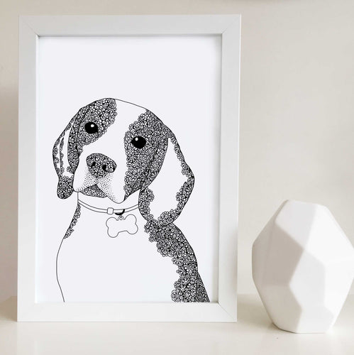 Beagle Dog art illustration print in Melbourne 